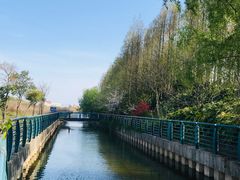 -上海长兴岛郊野公园