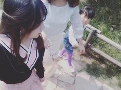 -清凉寺