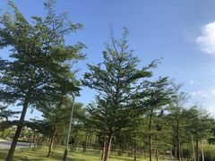 -飞凤山奥体公园