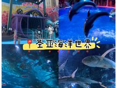 -将相和·海鲜蒸饺大连菜