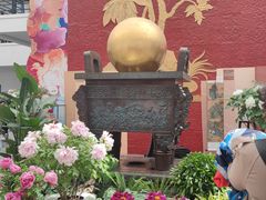 -曹州牡丹园