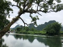 -广悦华阳朔河畔度假酒店(十里画廊遇龙河店)