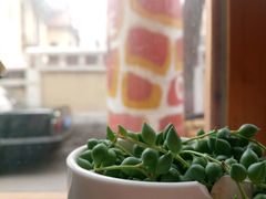 -长颈鹿咖啡(大学路店)