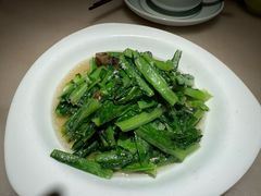 -東大方(安吉灵芝店)