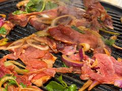 -揽月斋炙子烤肉·清真(安定门·五道营店)