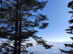 -瓦屋山景区