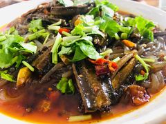 -渝都天星老街豆花