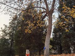 -中关村生命科学园