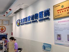 -北京观赏动物医院·24小时大型综合·猫专科·异宠专科