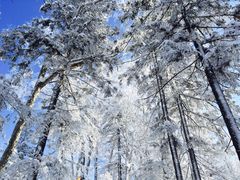 -亚布力新体委滑雪场
