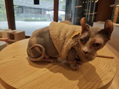 -米乐乖乖猫咪咖啡馆·猫咖(深圳湾后海汇店)