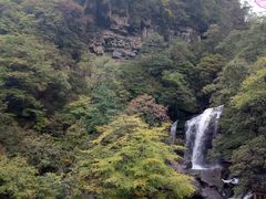 景点-黎坪国家森林公园