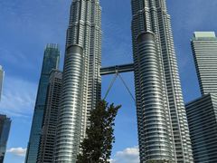 -鼎泰丰(云顶高原店)