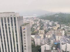 -紫峰大厦
