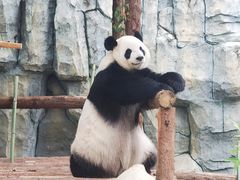 -泉州海丝野生动物世界