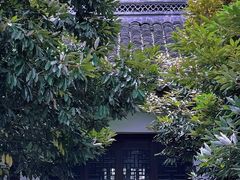 -上海佘山国家森林公园天马山园