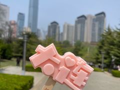 -富斯特索道