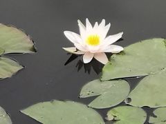 -长春公园(普阳街道)