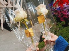 -HELEN FLORAL DESIGN(海上世界文化艺术中心店)