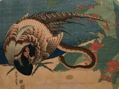 -东京国立博物馆