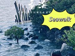 -深圳湾公园(南山区)