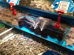 -喝丢一只鞋辣炒海鲜小烧烤(三八广场店)