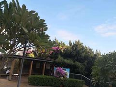 -金鸡山公园
