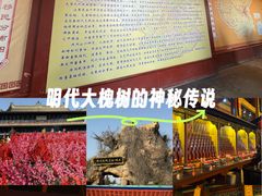 -大槐树寻根祭祖园