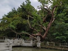 -汇龙潭