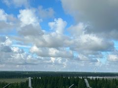 -黄海国家森林公园