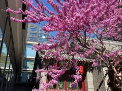-魅KTV·AI辅唱(簋街店)