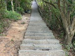 -梧桐山风景名胜区