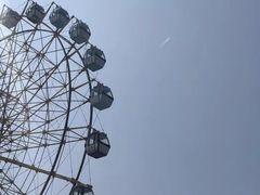 -巨鹏飞梦幻海岸