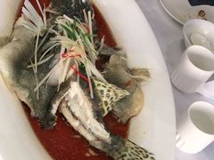 -九头鸟酒家(东高地店)