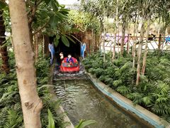 -南宫五洲植物乐园