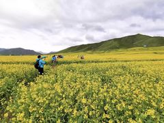 -扁都口生态休闲旅游区