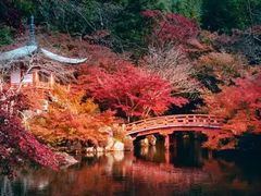 -学习谷日语培训日本留学·多语种外语教学(西单宣武分部)