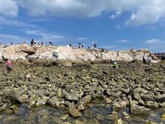 -养马岛旅游度假区