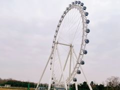 -日照海滨国家森林公园