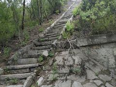 -白水寺森林公园