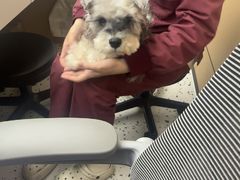-瑞派康怡24h宠物医院·犬猫医疗中心·微创绝育(瑞景分院)