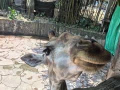 -长鹿旅游休博园