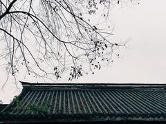 -三峡梯城