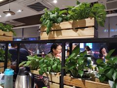 大堂-八合里潮汕鲜牛肉火锅(深圳海岸城店)