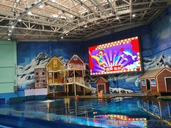 -西安曲江海洋极地公园