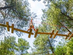 -梦幻奥陶纪景区