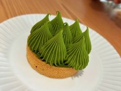 -猫里有甜