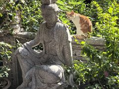 -福州开元寺
