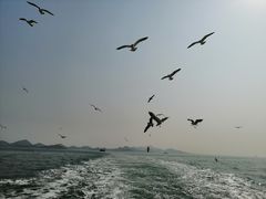 -海驴岛(荣成市)