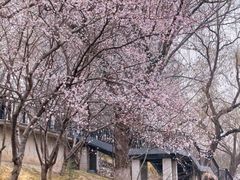 -安定门(地铁站)